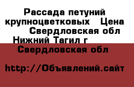 Рассада петуний крупноцветковых › Цена ­ 30 - Свердловская обл., Нижний Тагил г.  »    . Свердловская обл.